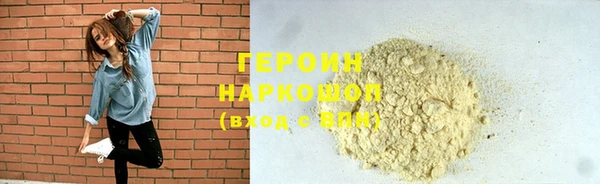 дживик Ельня