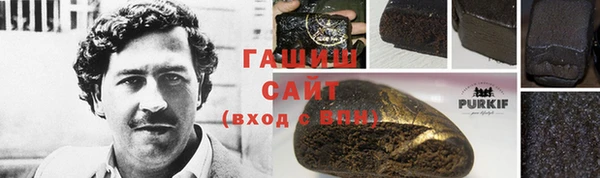 стаф Дмитров
