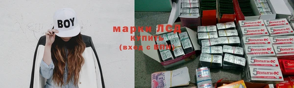 дживик Ельня