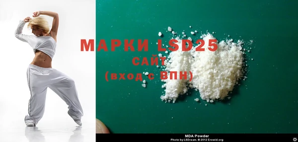 стаф Дмитров