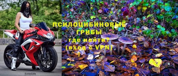 стаф Дмитров