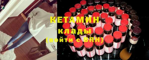 стаф Дмитров