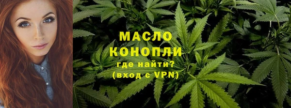 стаф Дмитров