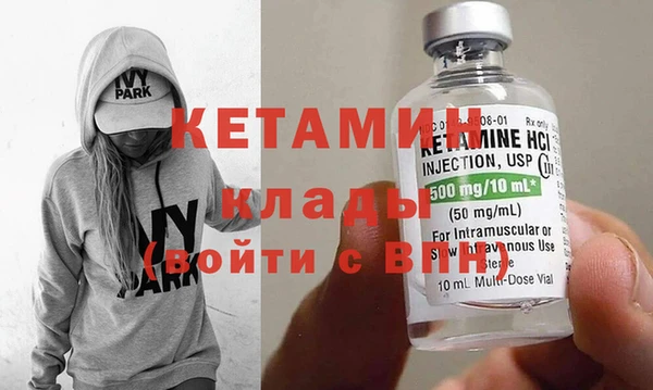 стаф Дмитров