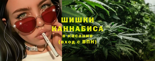 стаф Дмитров