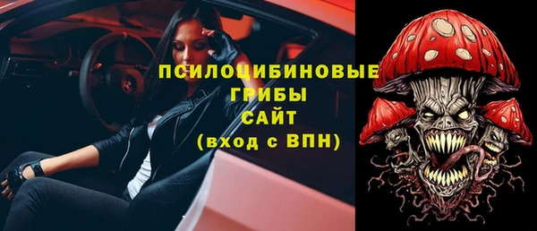 стаф Дмитров