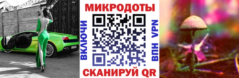 Купить где Макушино Псилоцибиновые грибы мицелий